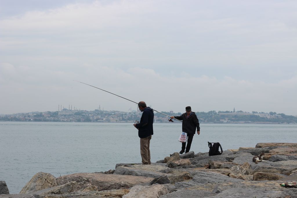 Two fishermen casting lines from a rocky shore with Istanbul skyline in the background.