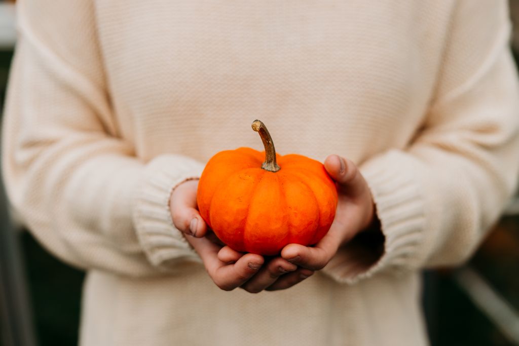A person holding a small pumpkin in a cozy sweater during fall.