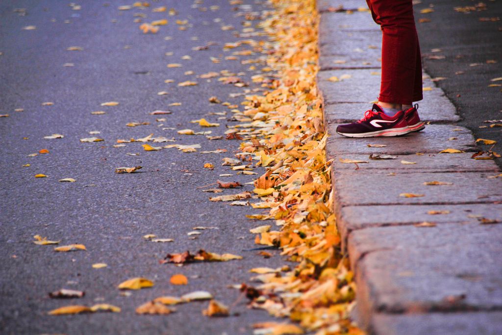 A person stands on a curb lined with fallen autumn leaves, creating a vibrant seasonal scene.