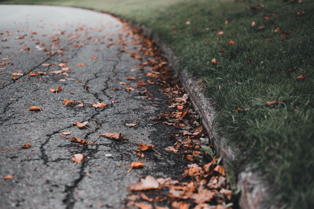 Cracked pavement with fallen autumn leaves alongside green grass, evoking fall mood.