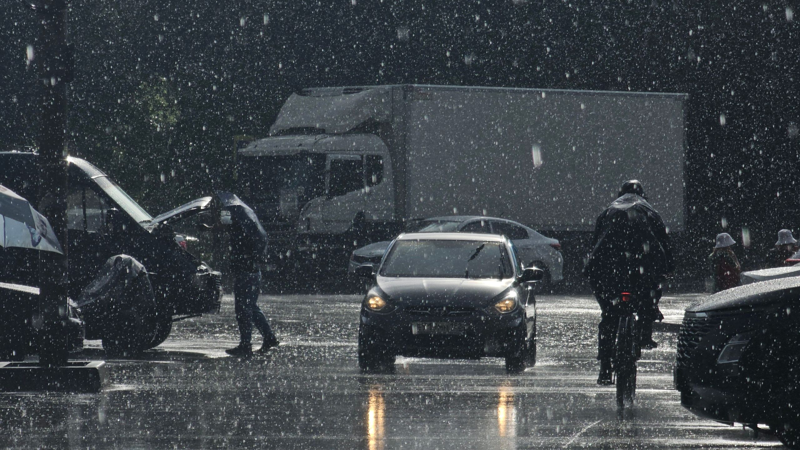 Climate Change Is Changing the Smell of Rain Around the World