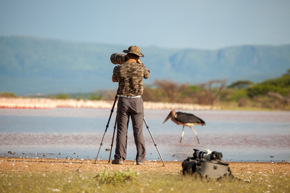 These Wildlife Photos Caught Animals Looking Absolutely Ridiculous