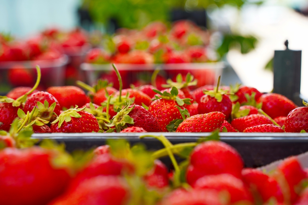 Supermarket Strawberry Test Uncovers Fungicide Levels Nearly 10 Times Australia’s Legal Limit