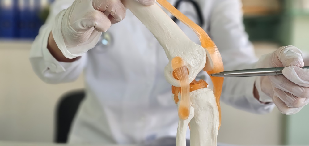 Scientists Discover a Way to Regrow Worn Knee Cartilage, Offering New Hope for Arthritis Patients