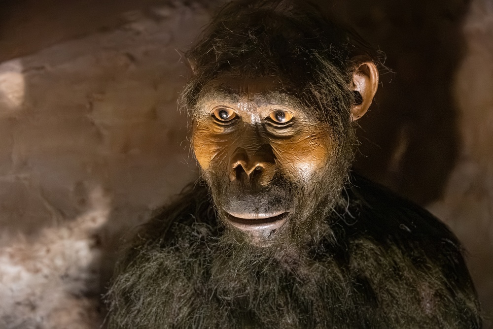 Scientists Uncover Evidence That Could Rewrite the Timeline of Human Evolution